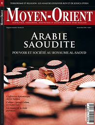 Moyen-Orient : géopolitique, géoconomie, géostratégie et sociétés du monde arabo-musulman