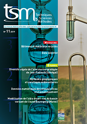 Techniques Sciences Méthodes : La revue mensuelle des spécialistes de l'environnement