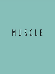 Muscle : revue de poésie posée sur une feuille de papier