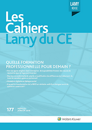 Cahiers Lamy du CE
