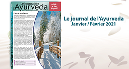 Journal de l'Ayurveda