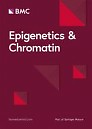 Epigenetics & chromatin