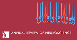 Annual review of neuroscience