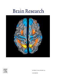 Brain research