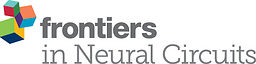Frontiers in neural circuits