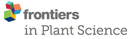 Frontiers in plant sience