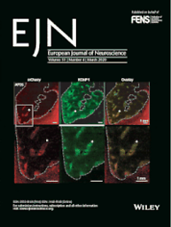 European journal of neuroscience