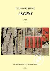 Preliminary report Akoris