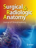 Surgical and radiologic anatomy