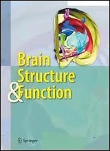 Brain structure & function