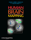 Human brain mapping