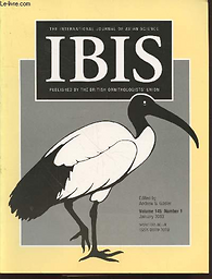 Ibis