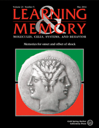 Learning & memory