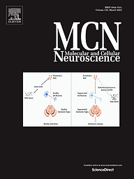 Molecular and cellular neurosciences
