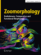 Zoomorphology
