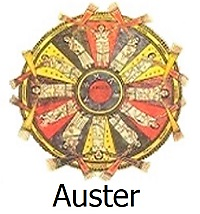 Auster