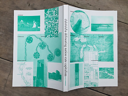 Scapegoat : architecture, landscape, political economy