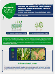 Informe de situación fitosanitaria