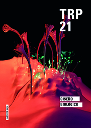 Teoría en Relación Proyectual