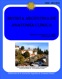 Revista argentina de anatomía clínica