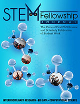 STEM fellowship journal