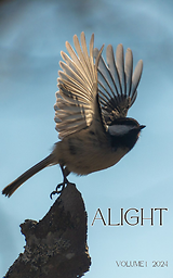 Alight