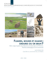 Rencontres internationales d'archéologie et d'histoire