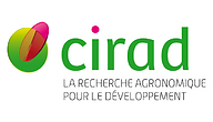 Cirad